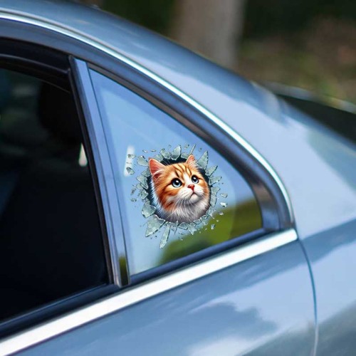 Fulcar Sarman Araç Stickerı 7 Fulcar Sarman Araç Stickerı