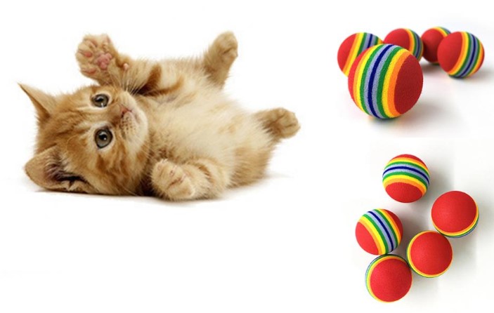 2 ADET GOKKUSAGI RENKLI KEDI KOPEK OYUN TOPU 1