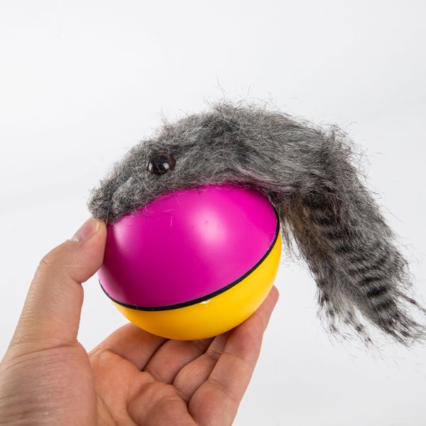 Hareketli Rakun Kedi Kopek Oyuncak 1