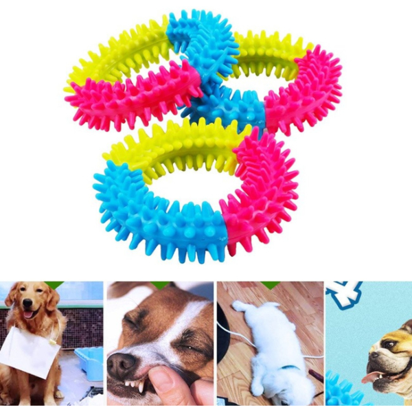 Kopek Isirma Dis Kasima Cemberi 1