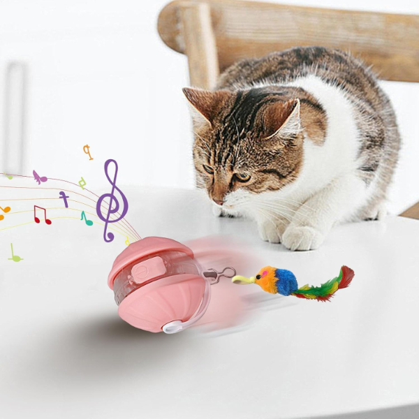 Sarjli Hareketli Kedi Topu Oyuncak 1