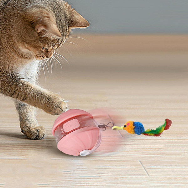 İSTANBUL Toptan Ticaret 131 Şarjlı Hareketli Kedi Topu Oyuncak