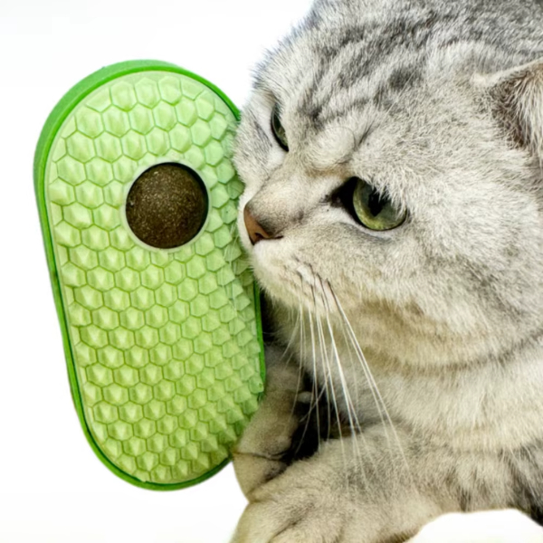 Silikon Kasiyicili Kedi Otu 1