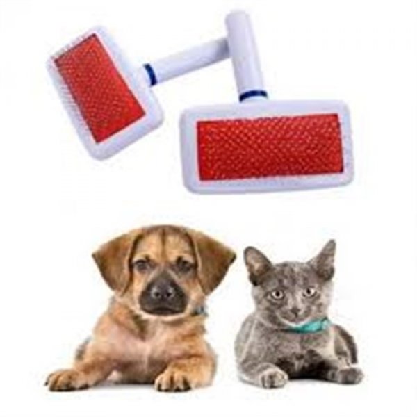 Uzun Tuylu Evcil Hayvan Taragi 1