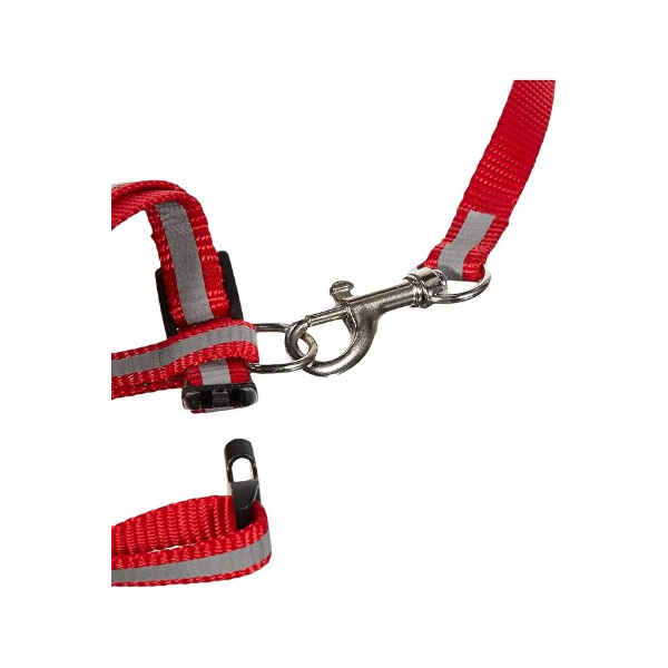 Reflektorlu Kedi Gezdirme Tasmasi 1